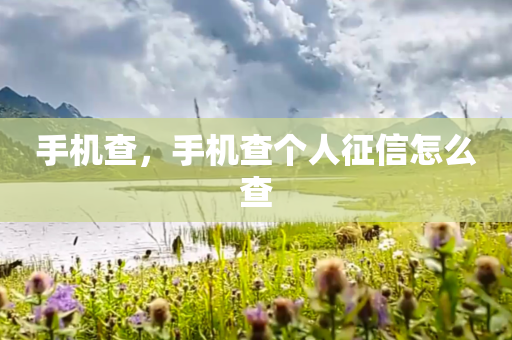 手机查，手机查个人征信怎么查