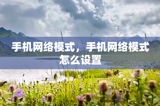 手机网络模式，手机网络模式怎么设置