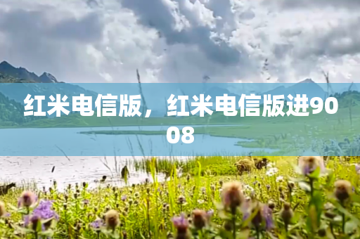 红米电信版，红米电信版进9008