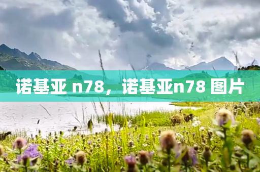 诺基亚 n78，诺基亚n78 图片