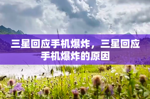 三星回应手机爆炸，三星回应手机爆炸的原因