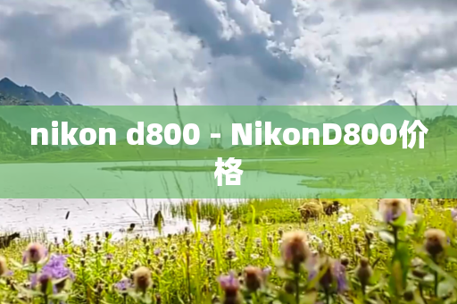 nikon d800 - NikonD800价格
