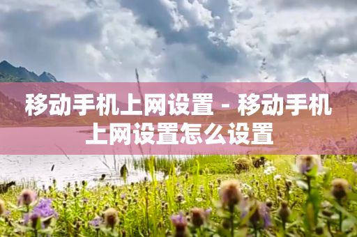 移动手机上网设置 - 移动手机上网设置怎么设置