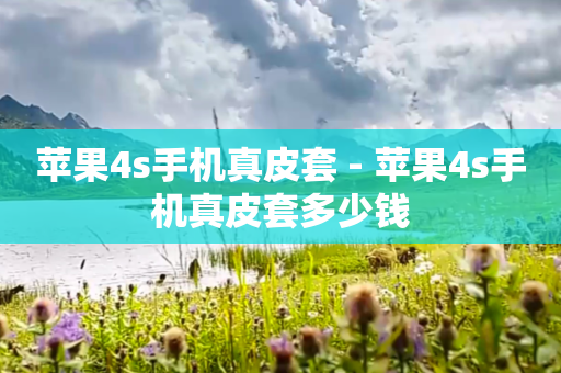苹果4s手机真皮套 - 苹果4s手机真皮套多少钱