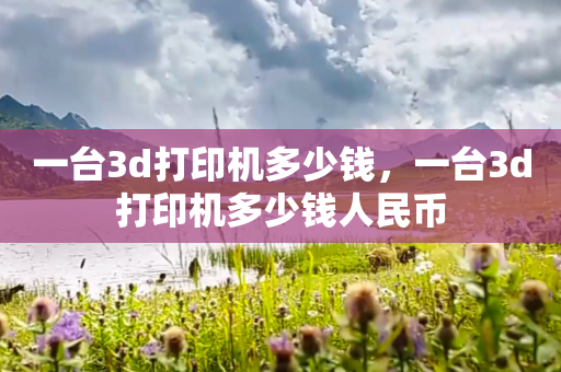 一台3d打印机多少钱，一台3d打印机多少钱人民币