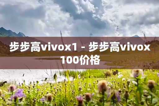 步步高vivox1 - 步步高vivox100价格