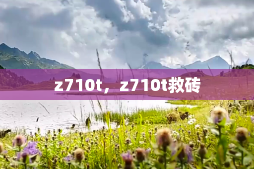 z710t，z710t救砖