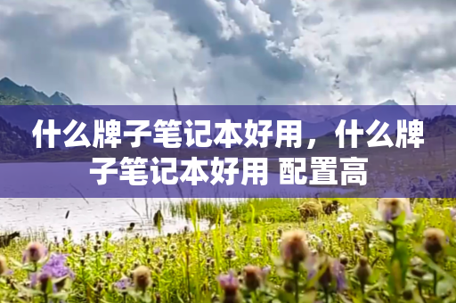 什么牌子笔记本好用，什么牌子笔记本好用 配置高