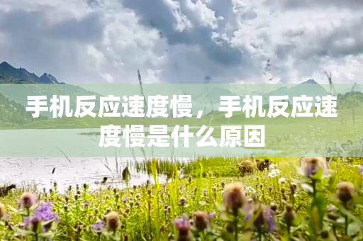 手机反应速度慢，手机反应速度慢是什么原因
