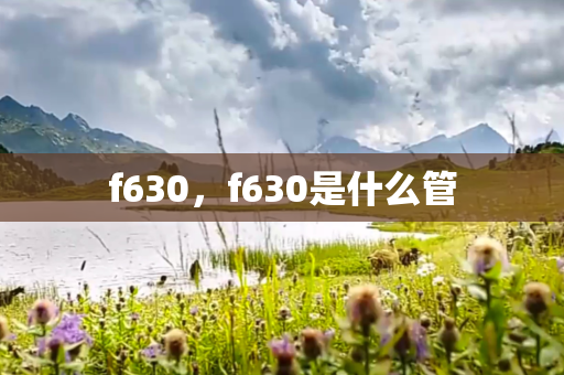 f630，f630是什么管