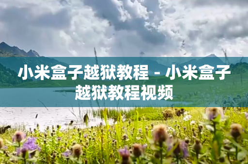 小米盒子越狱教程 - 小米盒子越狱教程视频