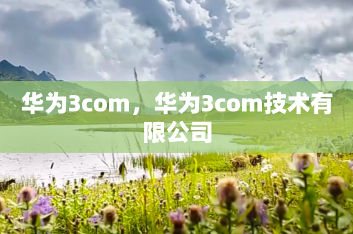 华为3com，华为3com技术有限公司