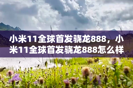 小米11全球首发骁龙888，小米11全球首发骁龙888怎么样