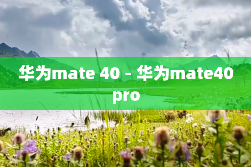 华为mate 40 - 华为mate40pro