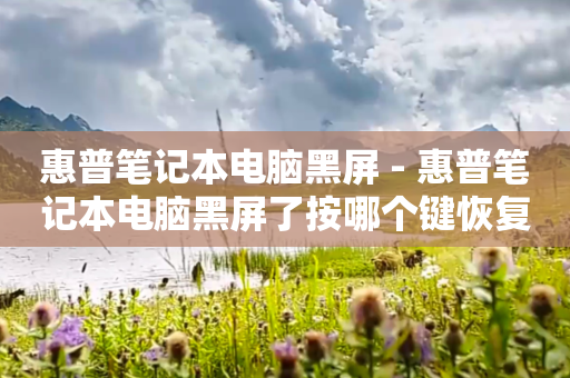 惠普笔记本电脑黑屏 - 惠普笔记本电脑黑屏了按哪个键恢复