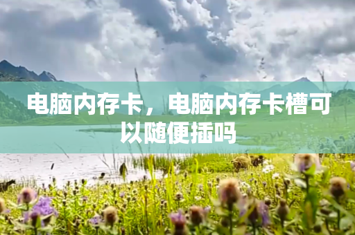 电脑内存卡，电脑内存卡槽可以随便插吗