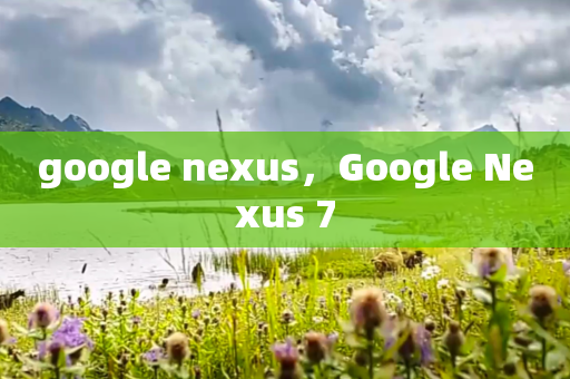 google nexus,Google Nexus 7