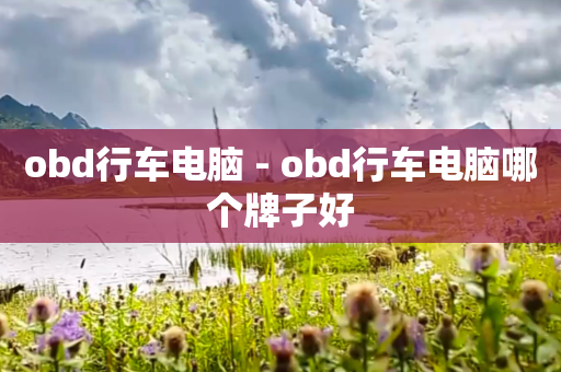 obd行车电脑 - obd行车电脑哪个牌子好