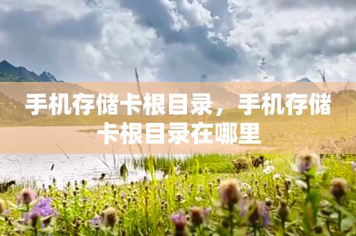 手机存储卡根目录，手机存储卡根目录在哪里