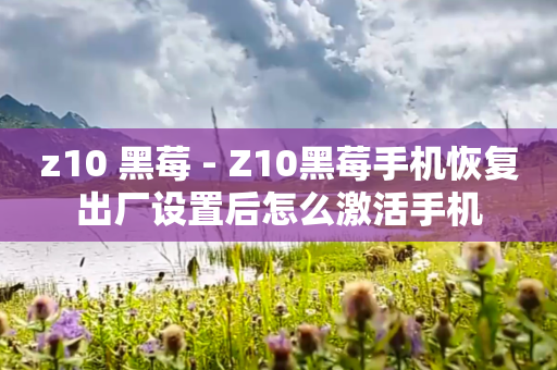 z10 黑莓 - Z10黑莓手机恢复出厂设置后怎么激活手机