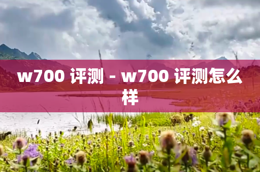 w700 评测 - w700 评测怎么样