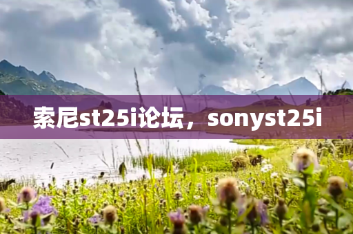 索尼st25i论坛，sonyst25i