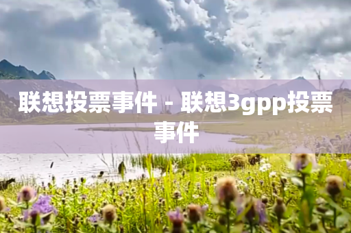 联想投票事件 - 联想3gpp投票事件