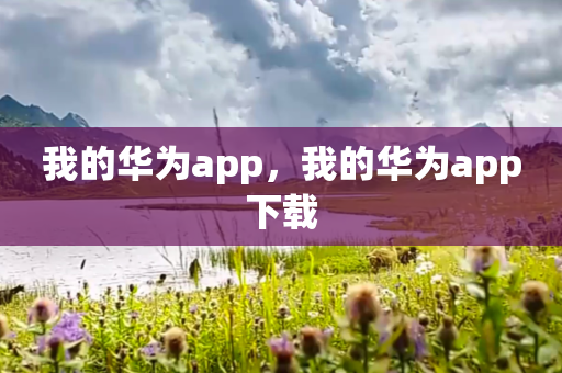 我的华为app，我的华为app下载