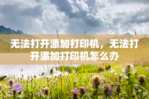 无法打开添加打印机，无法打开添加打印机怎么办