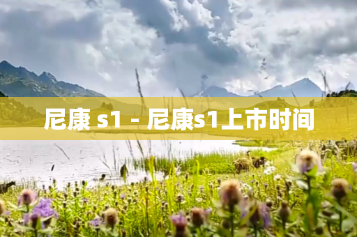 尼康 s1 - 尼康s1上市时间
