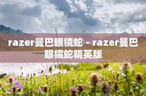 razer曼巴眼镜蛇 - razer曼巴眼镜蛇精英版