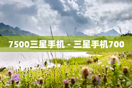 7500三星手机 - 三星手机7000
