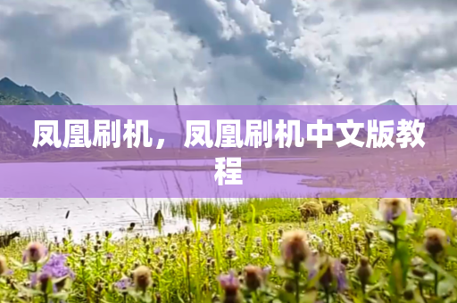 凤凰刷机，凤凰刷机中文版教程