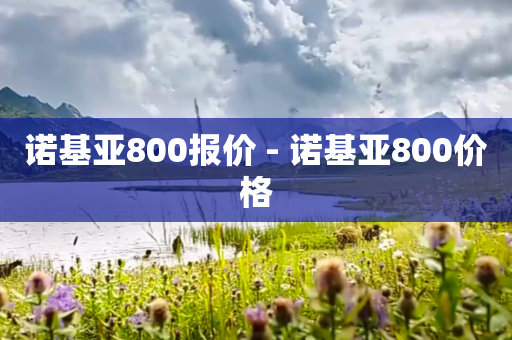 诺基亚800报价 - 诺基亚800价格