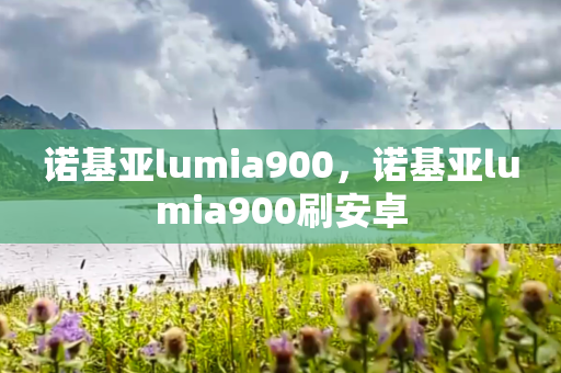 诺基亚lumia900，诺基亚lumia900刷安卓