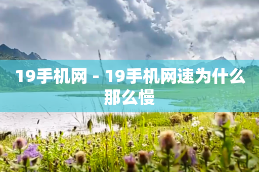 19手机网 - 19手机网速为什么那么慢