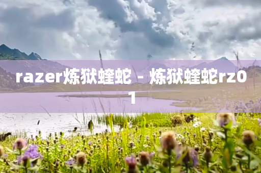 razer炼狱蝰蛇 - 炼狱蝰蛇rz01