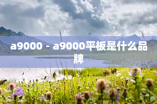 a9000 - a9000平板是什么品牌