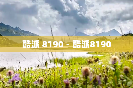 酷派 8190 - 酷派8190