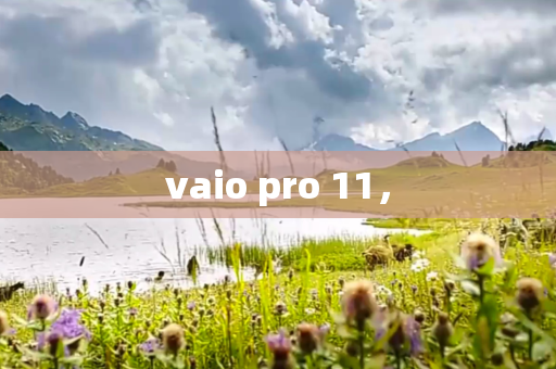 vaio pro 11,