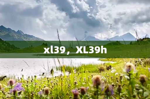 xl39，XL39h