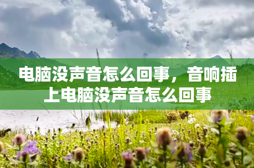 电脑没声音怎么回事，音响插上电脑没声音怎么回事