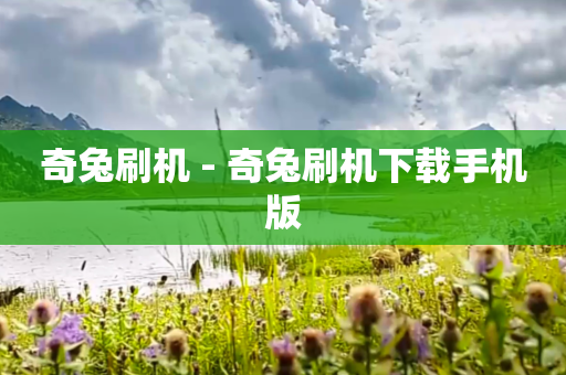 奇兔刷机 - 奇兔刷机下载手机版
