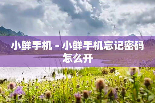 小鲜手机 - 小鲜手机忘记密码怎么开