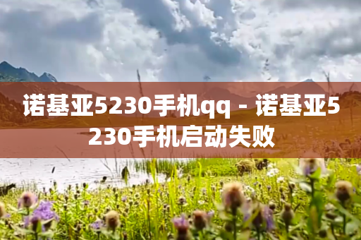 诺基亚5230手机qq - 诺基亚5230手机启动失败