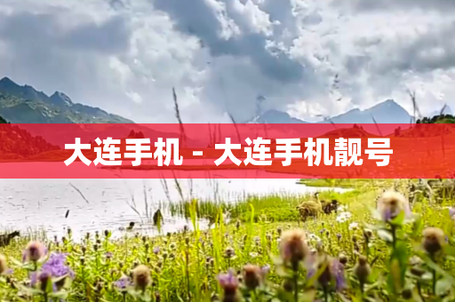 大连手机 - 大连手机靓号