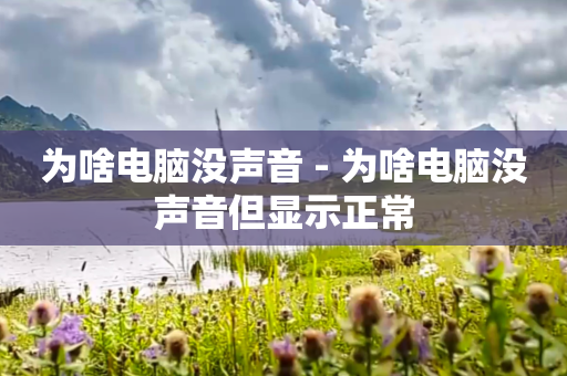 为啥电脑没声音 - 为啥电脑没声音但显示正常