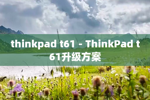 thinkpad t61 - ThinkPad t61升级方案