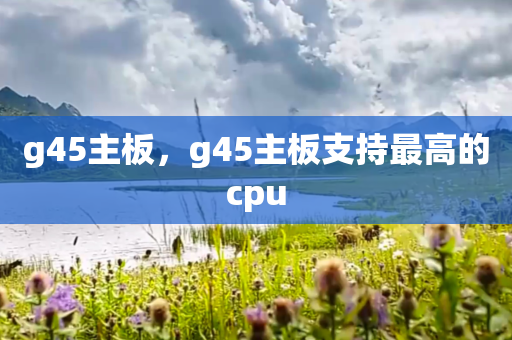 g45主板，g45主板支持最高的cpu