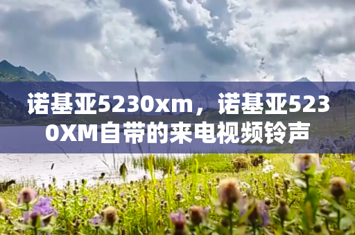 诺基亚5230xm，诺基亚5230XM自带的来电视频铃声